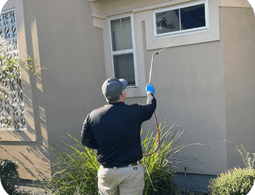 Is Organic Pest Control in Cypress Really Safe for Kids and Pets?