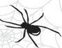 Pest Control in Cypres