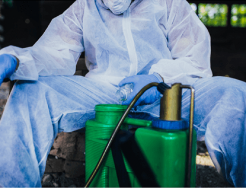 When Should You Schedule Termite Control In Magnolia?
