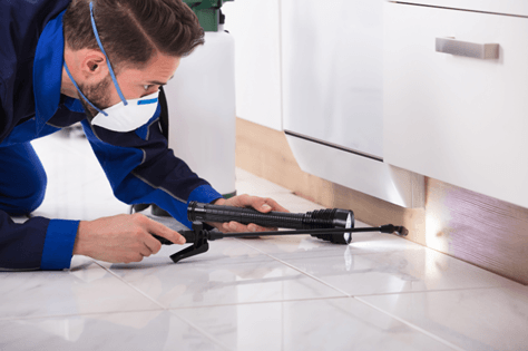 Cypress pest control