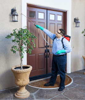 Cypress pest control