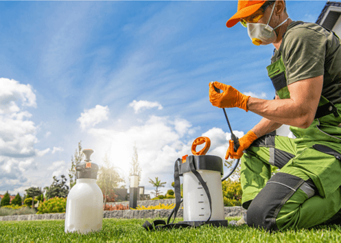 Pest Control in Cypress, TX