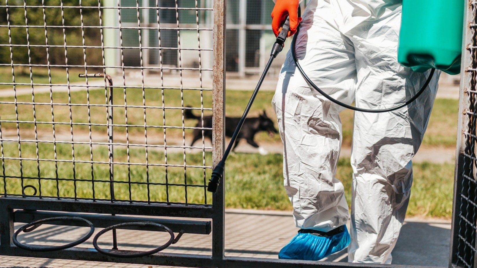 Cypress pest control company