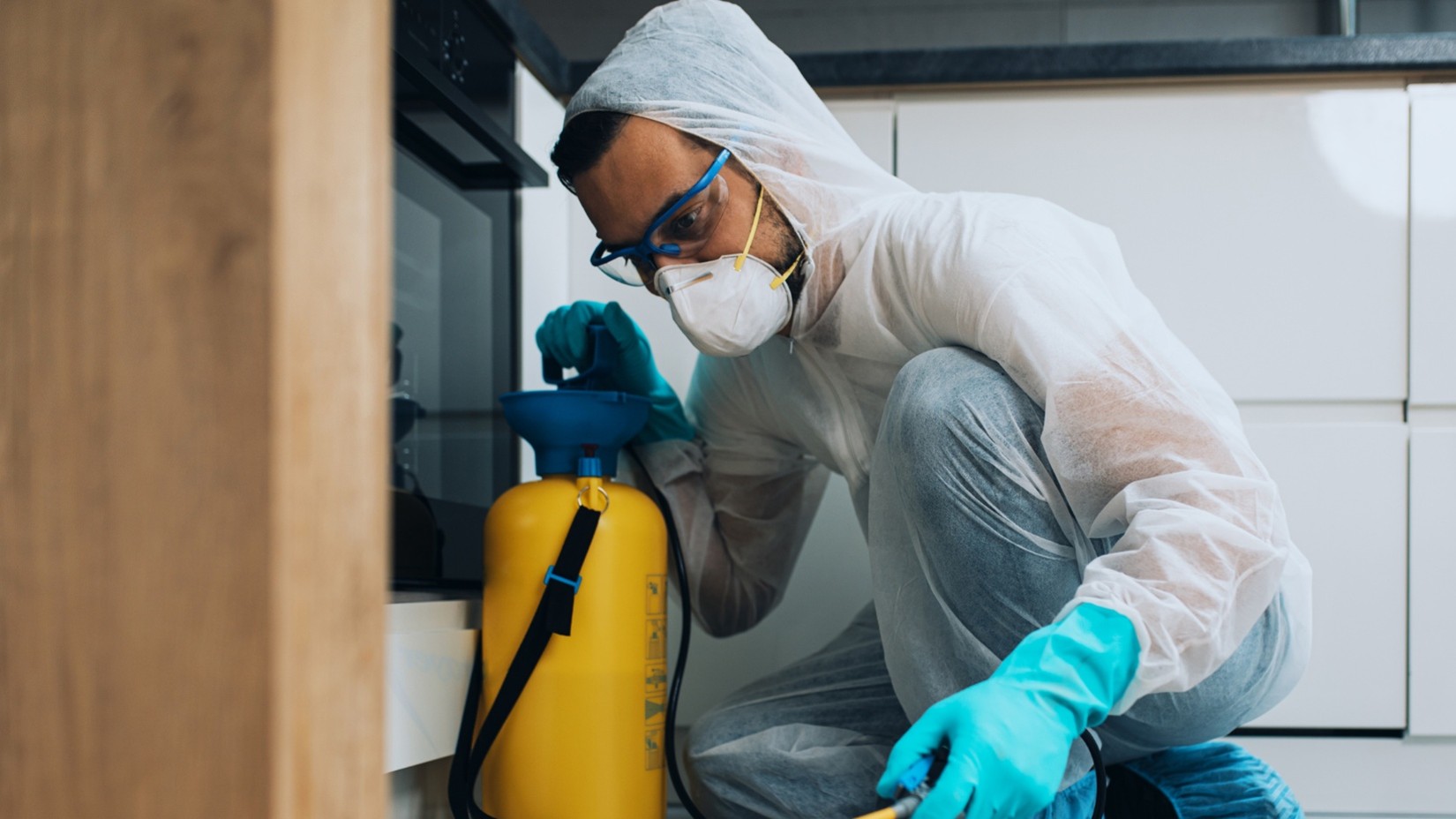 pest control in Cypress