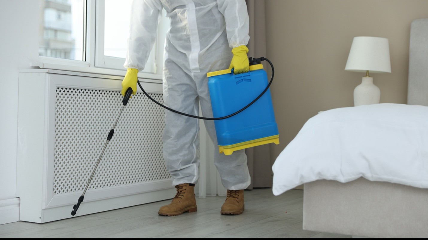 Pest Control in Magnolia 